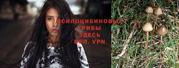 прущая мука Абаза