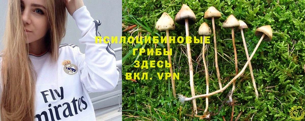 прущая мука Абаза