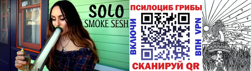 сколько стоит  Кувшиново  гидра онион  Галлюциногенные грибы Magic Shrooms 